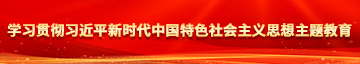 啊疼操逼视频学习贯彻习近平新时代中国特色社会主义思想主题教育